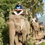 laos-luang-prabang-elefanten-0012